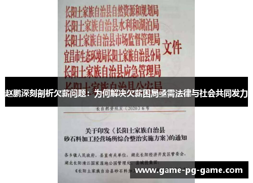 赵鹏深刻剖析欠薪问题:为何解决欠薪困局亟需法律与社会共同发力 赵鹏深刻剖析欠薪问题:为何解决欠薪困局亟需法律与社会共同发力
